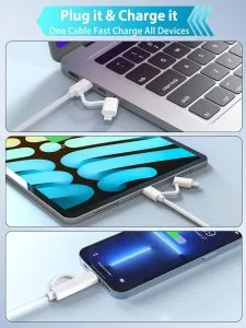 Usb C to Type C And Lightning 60w Charge Cable
